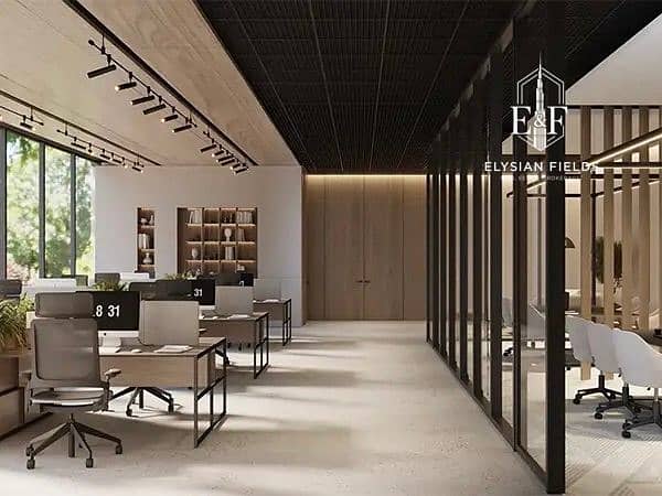 5 Image 5. jpg