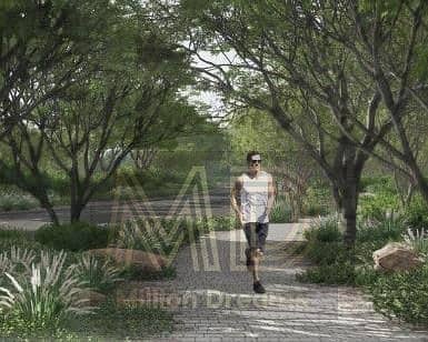 10 img336. jpg