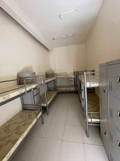 Labour Camp para en Alquiler en Dubai Investments Park (DIP), Dubai - WhatsApp Image 2023-09-15 at 4.42. 41 PM. jpeg
