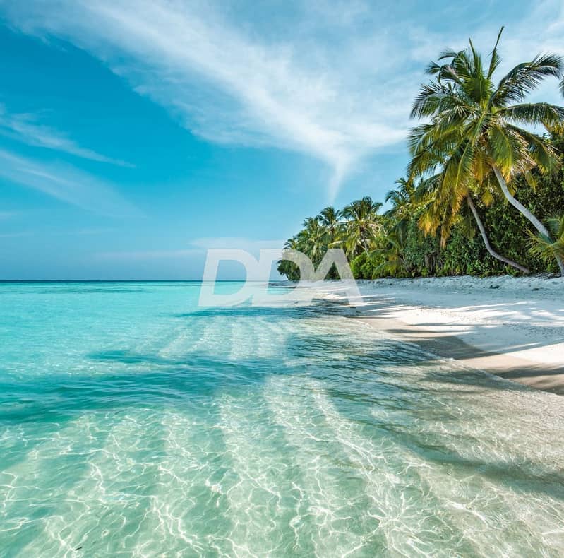 8 beach. 7. JPG