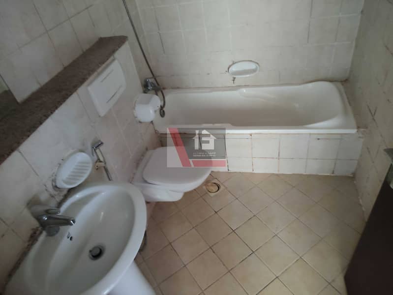 3 15446. jpg