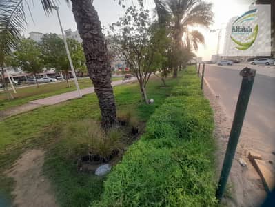 1 habitación Apartamento para en Alquiler en Al Yasmeen, Ajman - WhatsApp Image 2026-10-02 at 6.13. 04 PM. jpeg 1 habitación Apartamento para en Alquiler en Al Yasmeen, Ajman - WhatsApp Image 2026-10-02 at 6.13. 04 PM. jpeg