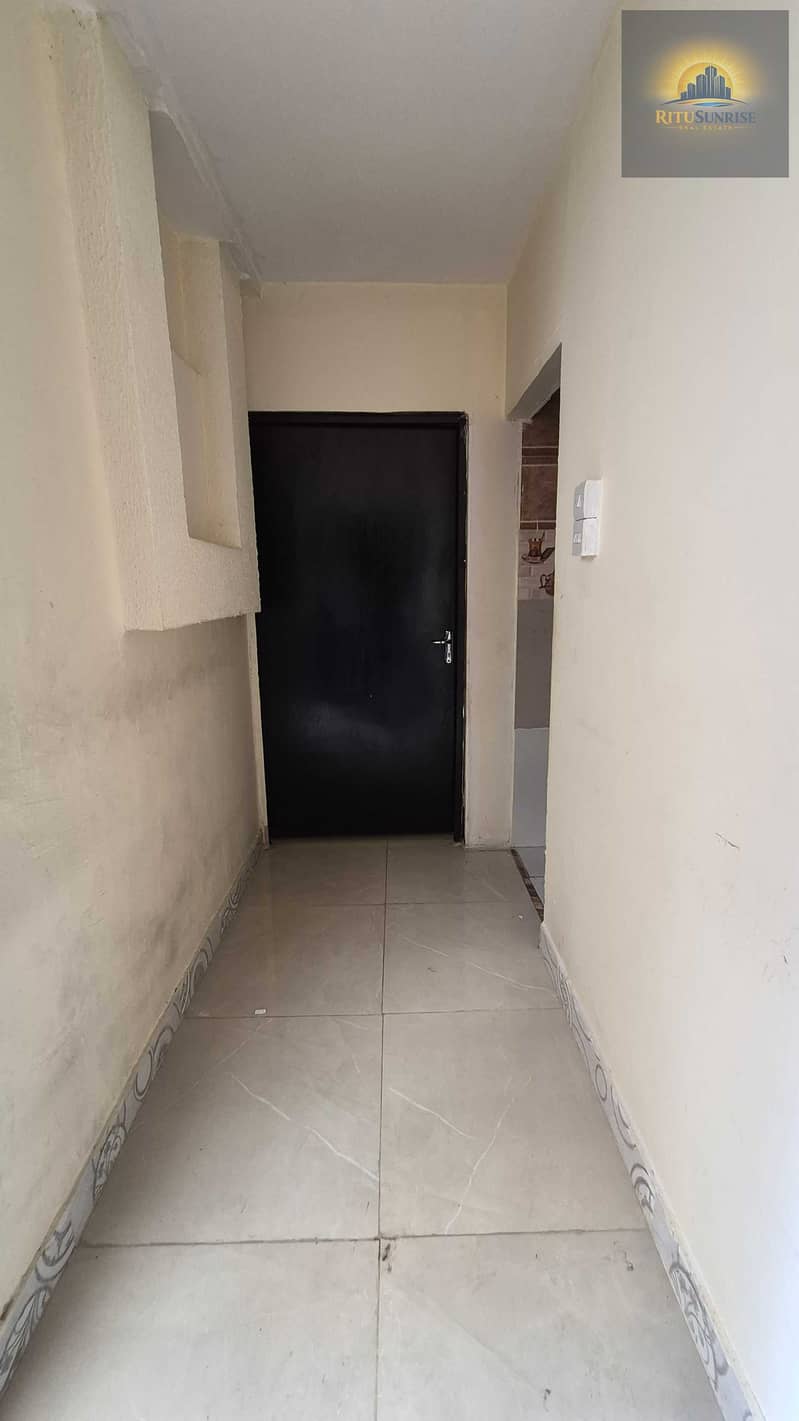 4 219408. jpg