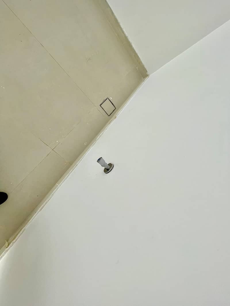 5 1001121354. jpg
