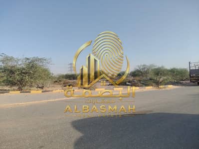 Industrial Land in vendita a Al Hamriyah, Sharjah - WhatsApp Image 2026-06-02 at 10.53. 55 AM. jpeg