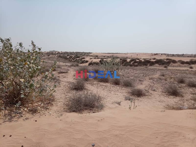 6 132645. jpg