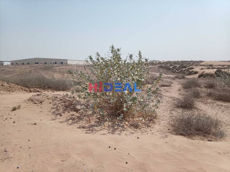 9 132643. jpg