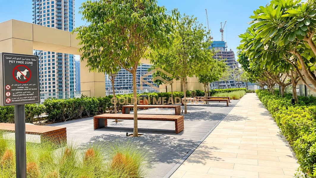 10 Sunlit Pet-Free Urban Terrace Garden. png