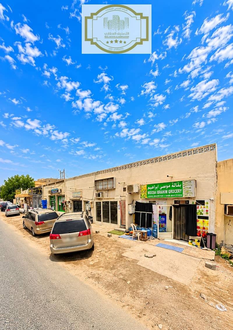 2 Mosa Ibrahim Grocery on a Sunny Street. png