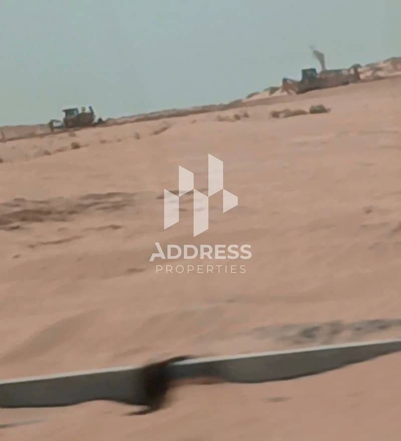 2 17988. jpg