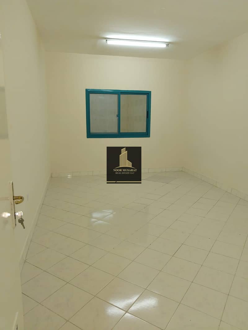 2 1000154447. jpg