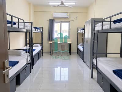 Labour Camp for Rent in Al Quoz, Dubai - 093630bd-77fc-406d-bd86-9c80972ff685. png
