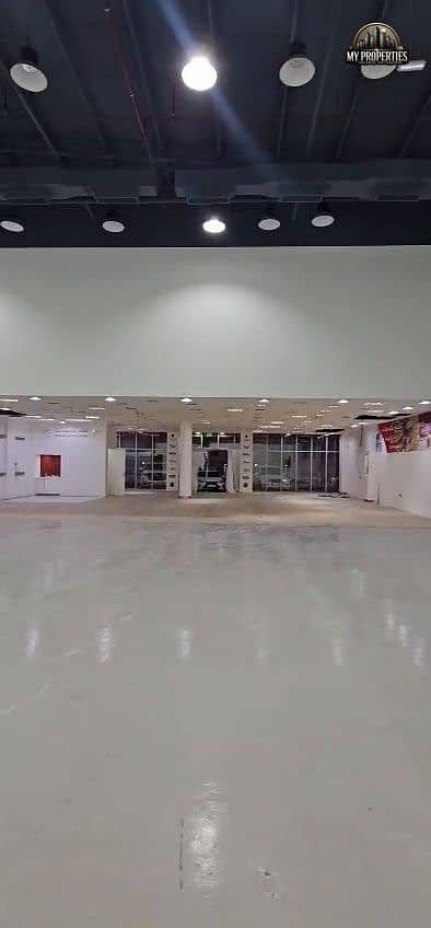 5 246623. jpg