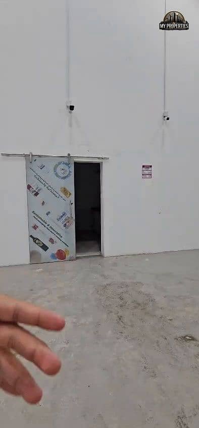 10 246628. jpg