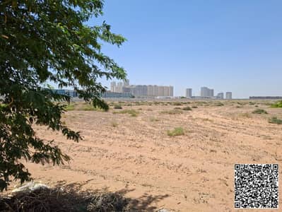 Plot zum Verkauf in Al Nakhil, Ajman - WhatsApp Image 2026-08-19 at 11.36. 27. jpeg