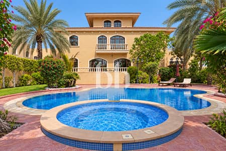 5 Camere Villa in affitto a Shakhbout City, Abu Dhabi - Villaexteriorwithpoolandspa