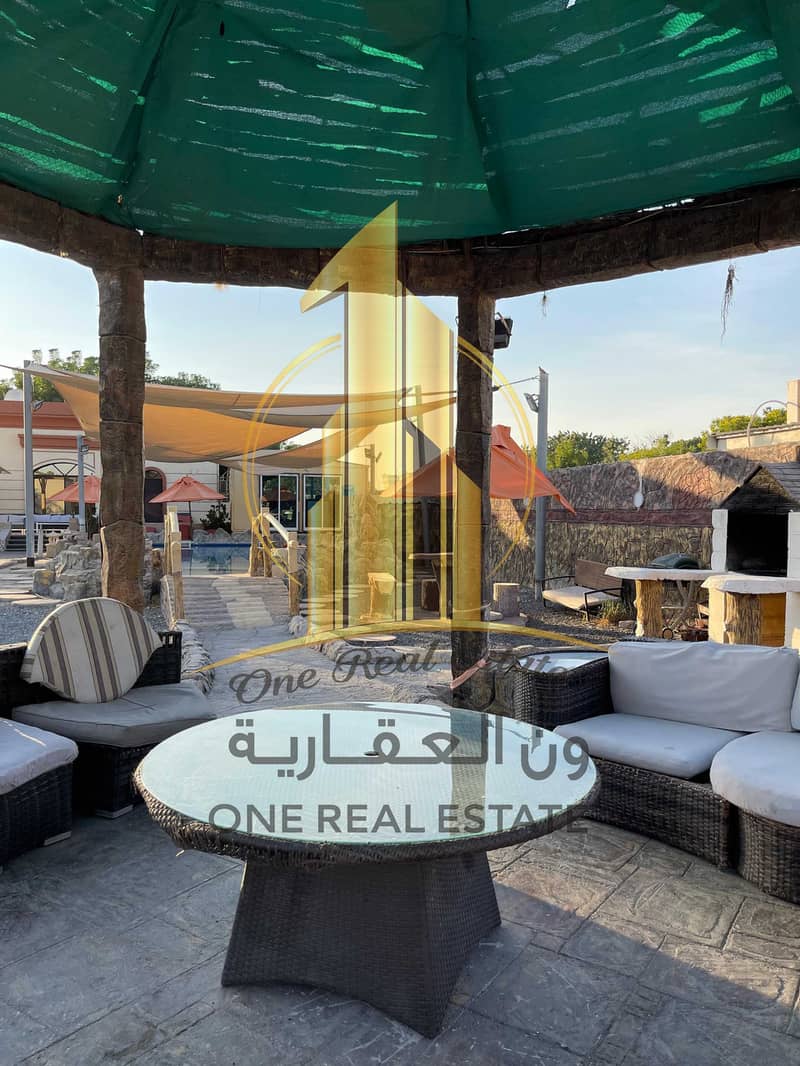 4 99e52b27-1ac4-4aa0-856c-0035bc7bd750. jpg