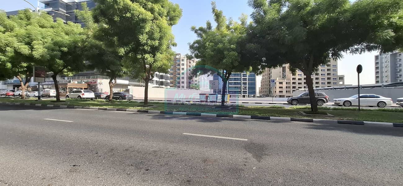 8 06. jpg