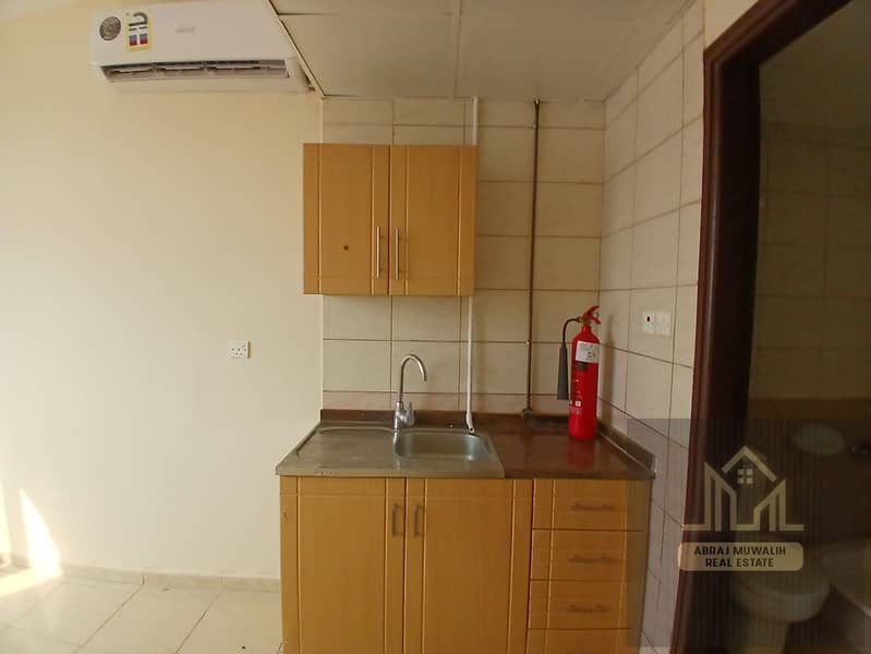 5 149198. jpg
