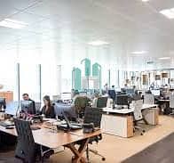 3 06. jpg