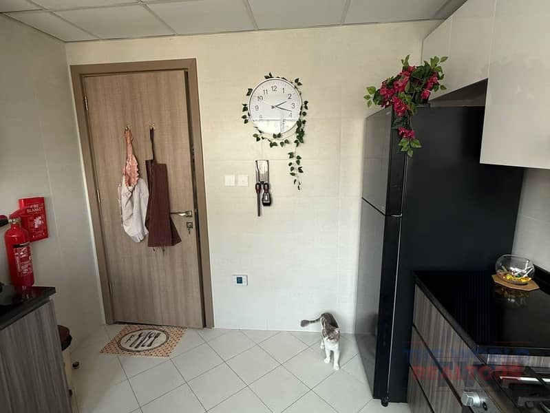 5 Image 6