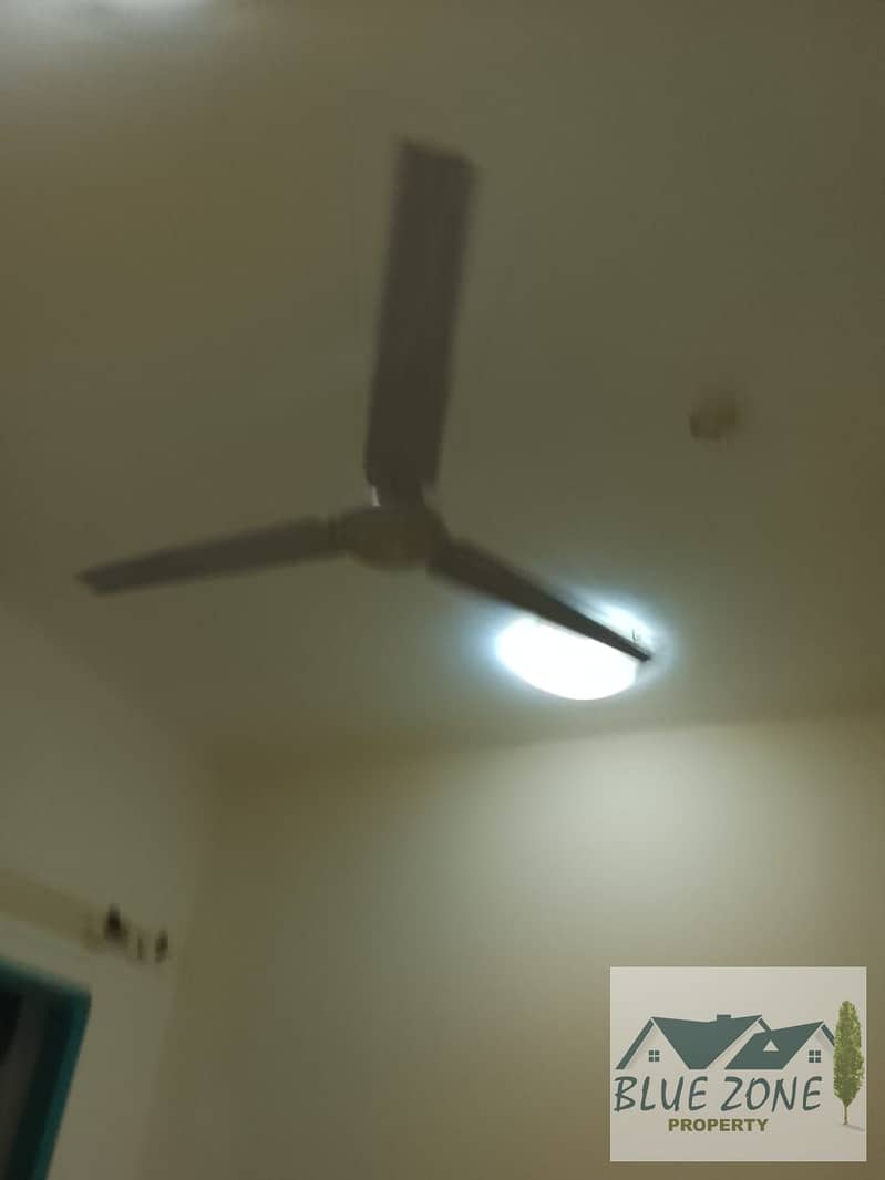 7 1000434713. jpg