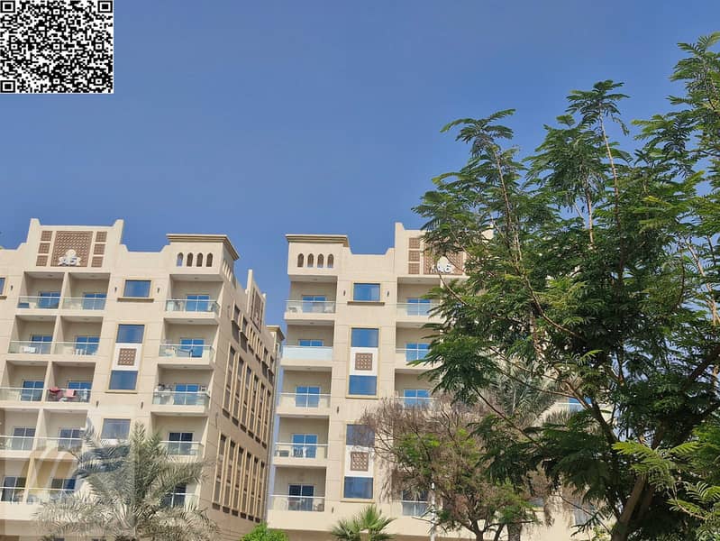 4 ٢٠٢٥١٠٢٣_١١٠٧١٥. jpg