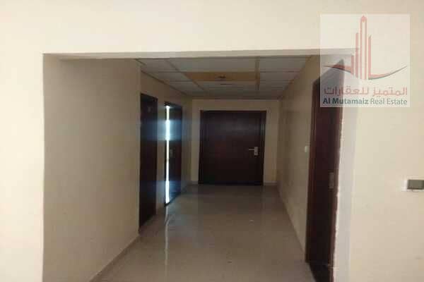 2 WhatsApp Image 2024-02-20 at 14.29. 43_91e22468. jpg