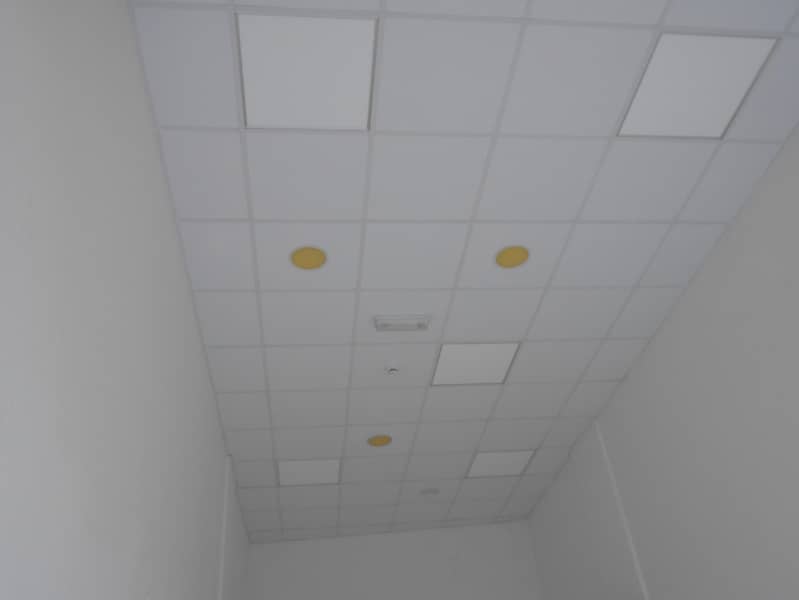 6 DSCN3304. JPG