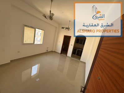 Monolocale in affitto a Al Alia, Ajman - WhatsApp Image 2026-10-04 at 11.46. 21 AM. jpeg Monolocale in affitto a Al Alia, Ajman - WhatsApp Image 2026-10-04 at 11.46. 21 AM. jpeg