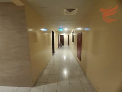 1 Bedroom Flat for Rent in Dafan Al Nakheel, Ras Al Khaimah - WhatsApp Image 2026-09-13 at 2.28. 19 PM. jpeg 1 Bedroom Flat for Rent in Dafan Al Nakheel, Ras Al Khaimah - WhatsApp Image 2026-09-13 at 2.28. 19 PM. jpeg