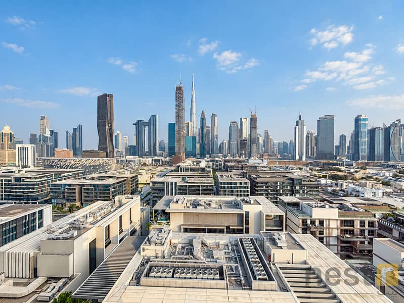 17 Dubai Skyline from Rooftops. png