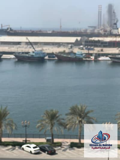 Estudio para en Alquiler en Al Shuwaihean, Sharjah - WhatsApp Image 2026-09-30 at 2.26. 29 PM. jpeg Estudio para en Alquiler en Al Shuwaihean, Sharjah - WhatsApp Image 2026-09-30 at 2.26. 29 PM. jpeg