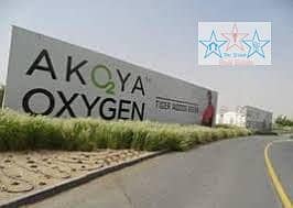 6 AKOYA OX LOGO. jpg