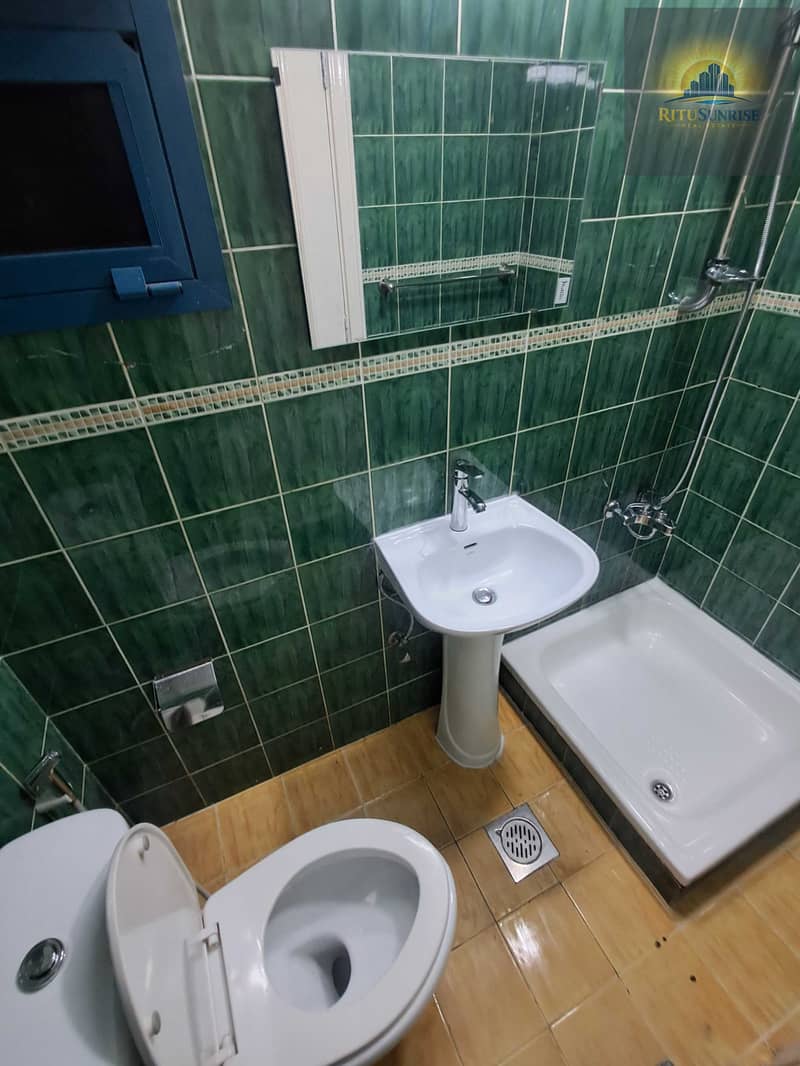 5 1000295385. jpg