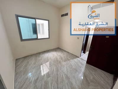 Studio zum Miete in Al Rawda, Ajman - WhatsApp Image 2026-10-07 at 5.04. 23 PM. jpeg Studio zum Miete in Al Rawda, Ajman - WhatsApp Image 2026-10-07 at 5.04. 23 PM. jpeg