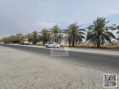 Plot for Sale in Al Alia, Ajman - WhatsApp Image 2026-08-04 at 9.25. 05 AM (7). jpeg Plot for Sale in Al Alia, Ajman - WhatsApp Image 2026-08-04 at 9.25. 05 AM (7). jpeg