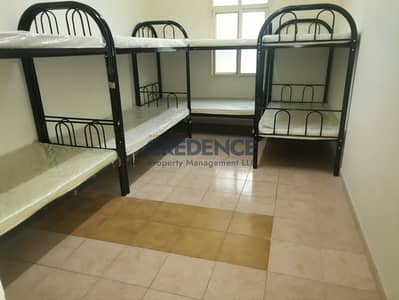 Labour Camp for Rent in Al Quoz, Dubai - 2. jpg