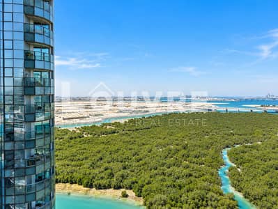 شقة 2 غرفة نوم للايجار في جزيرة الريم، أبوظبي - Panoramic Waterfront Cityscape with Mangroves. png