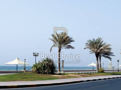 Plot for Sale in Liwara 1, Ajman - WhatsApp Image 2026-10-08 at 14.43. 42 (2). jpeg Plot for Sale in Liwara 1, Ajman - WhatsApp Image 2026-10-08 at 14.43. 42 (2). jpeg