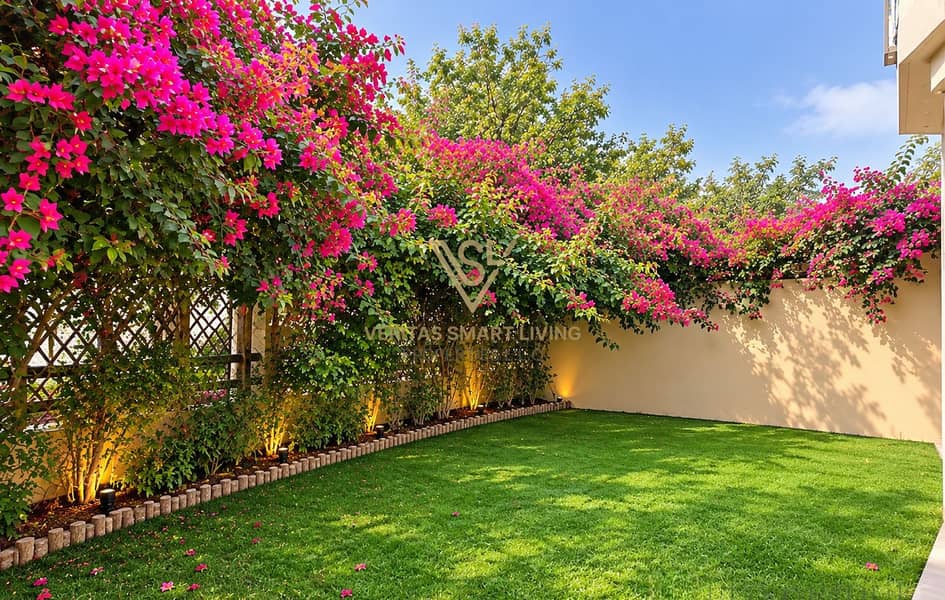 Sunlit Bougainvillea Garden Courtyard. png Sunlit Bougainvillea Garden Courtyard. png