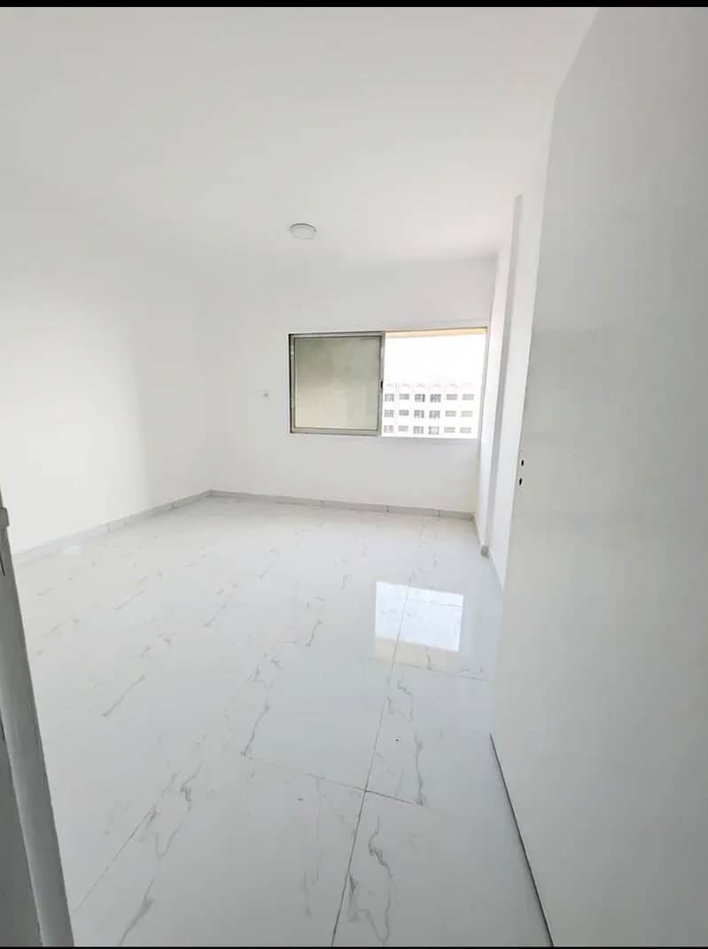 3 10375. jpg