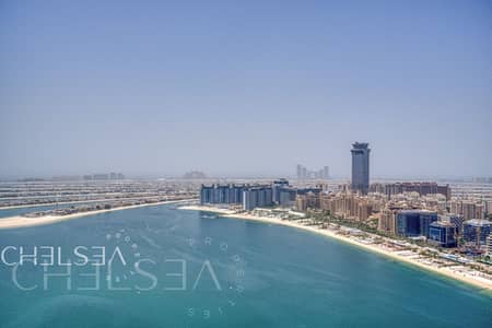 Appartement de 1 chambre à à louer à Dubai Harbour, Dubai - Appartement à Dubai Harbour，Emaar Beachfront，Palace Beach Residence，Palace Beach Residence Tower 2, 1 chambre, 149000 AED - 16251271