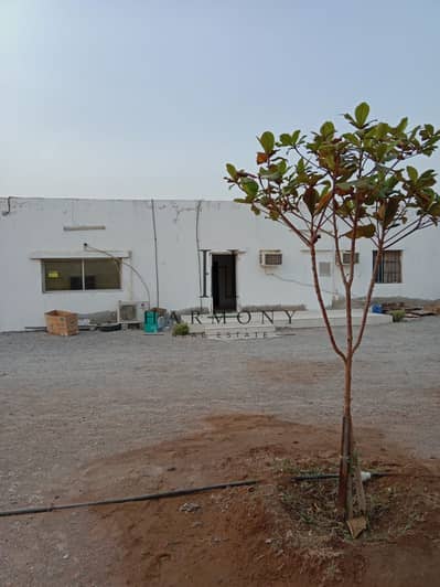 Other Commercial للبيع في الدقداقة، رأس الخيمة - IMG-20260806-WA0083. jpg Other Commercial للبيع في الدقداقة، رأس الخيمة - IMG-20260806-WA0083. jpg