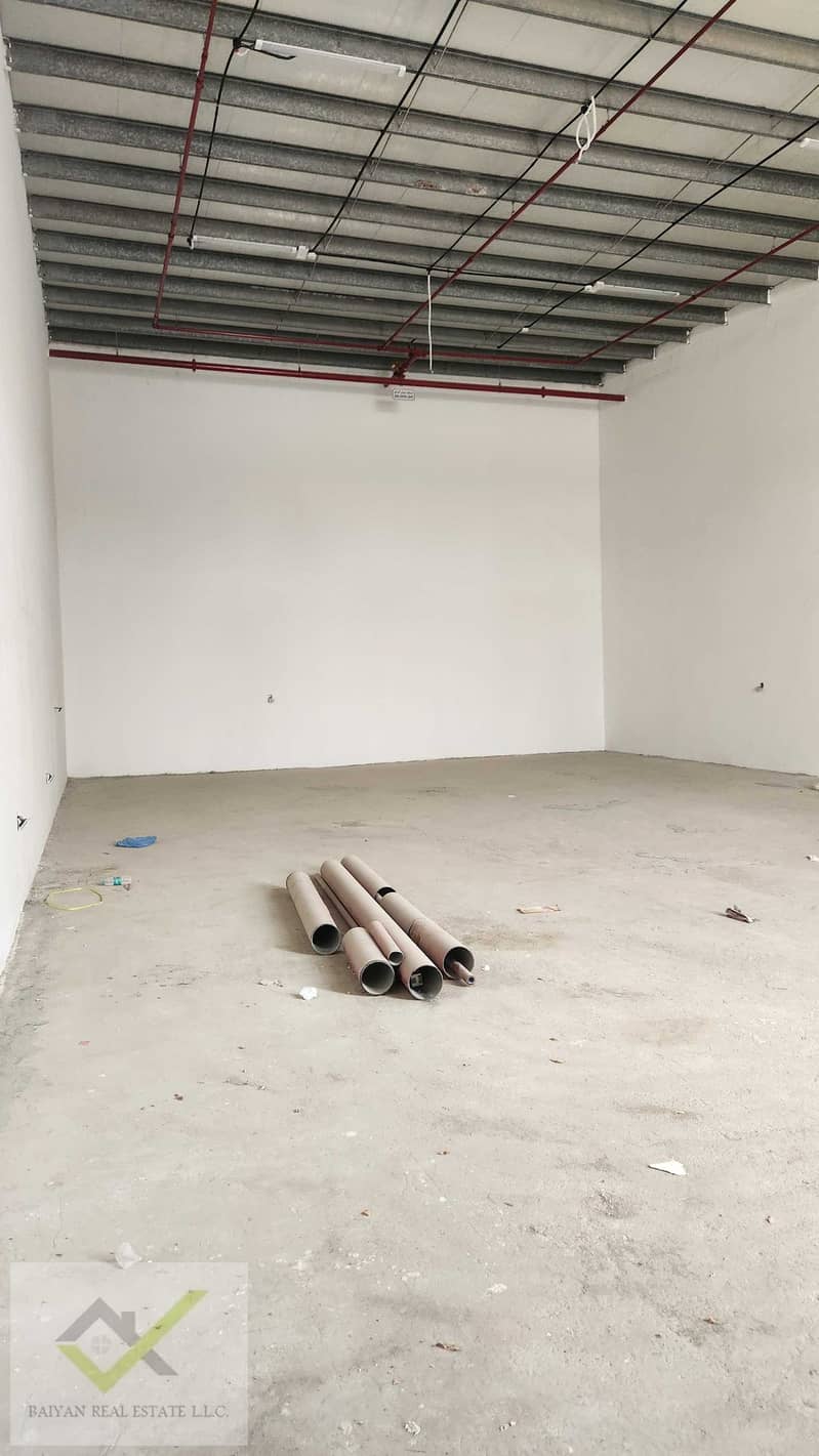 13 1000861355. jpg