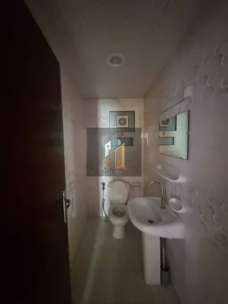 3 154326. jpg