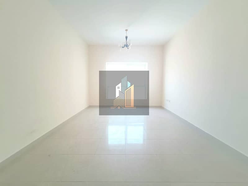 12 3517. jpg