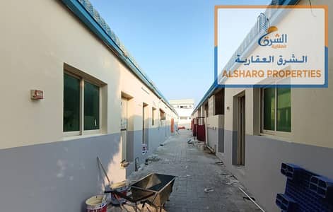 Labour Camp for Rent in Al Jurf, Ajman - WhatsApp Image 2026-10-09 at 3.03. 36 PM (2). jpeg