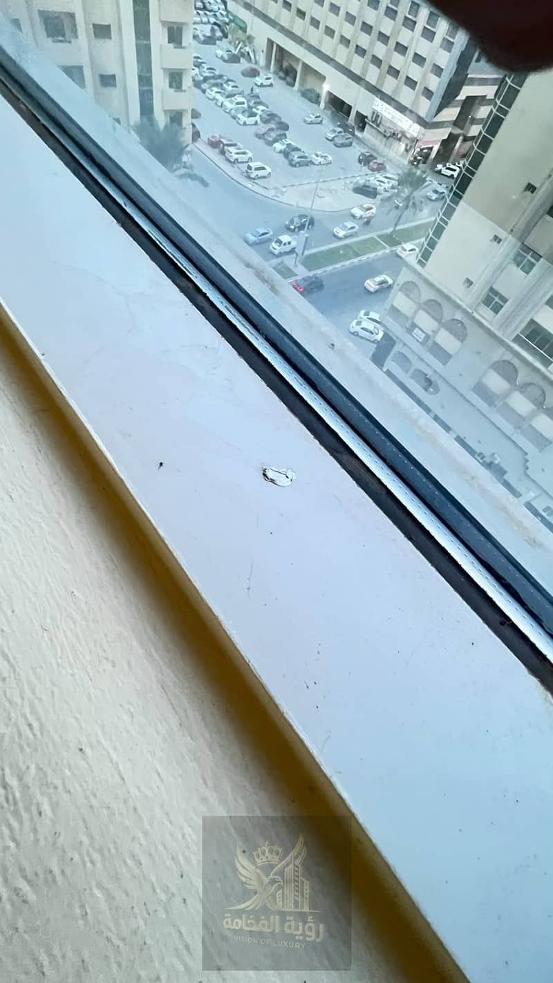 7 WhatsApp Image 2026-10-05 at 11.01. 18 AM. jpeg