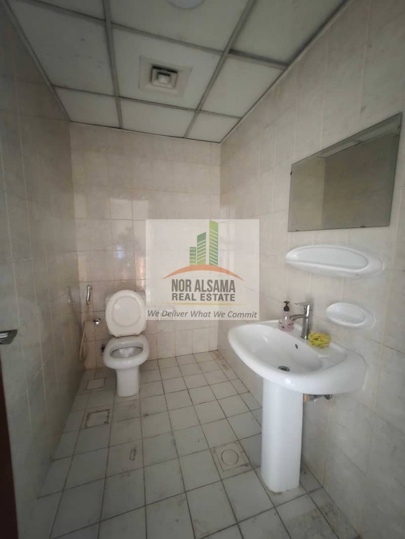 8 186532. jpg